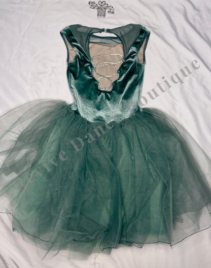 Weissman Velvet Tutu Costume – Sage Green – CM